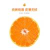 新鲜水果 现摘蜜桔