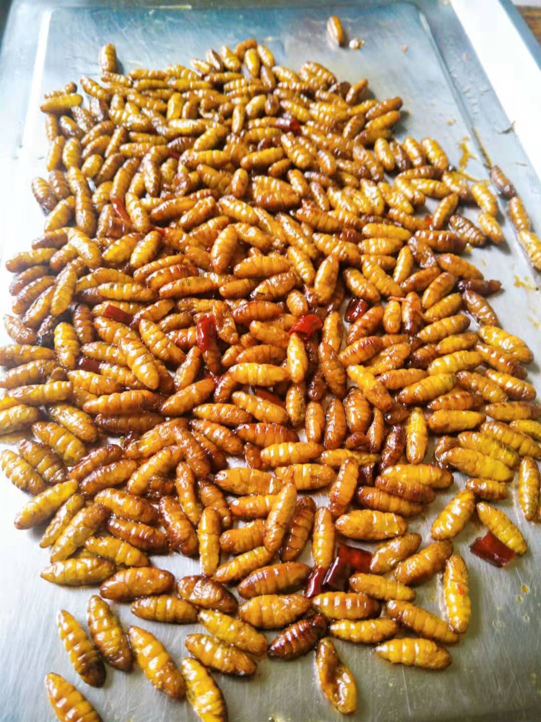 麻辣金丝蛹